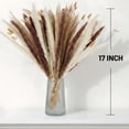 thumbnail image 6 of Sanmadrola 85 Pcs Natural Dried Pampas Grass Boho Home Decor Dried Flowers for Wedding Floral Arrangements Wall Bathroom Décor Spring Decor, 6 of 8