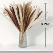 Sanmadrola 85 Pcs Natural Dried Pampas Grass Boho Home Decor Dried Flowers for Wedding Floral Arrangements Wall Bathroom Décor Spring Decor