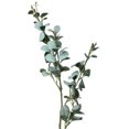 thumbnail image 3 of Vickerman FR191901 32 in. Green Eucalyptus Leaf Spray, 3 of 5