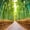 Bamboo Walkway In Kyoto, variant on Elephant Stock Jungle Adventure Rope Bridge Wall Art - Horizontal Canvas Wall Art - Living Room Wall Decor - Architecture Canvas - Green And Brown Decor - 12" x 8"