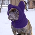 thumbnail image 4 of Dog Hats Ear Covers 2025 New Dog Winter Hat Dog Hat With Ear Warmer Cute Dog Snood Pet Hat Neck Ear Warmer Hood For Small Medium Puppy Dogs, 4 of 4