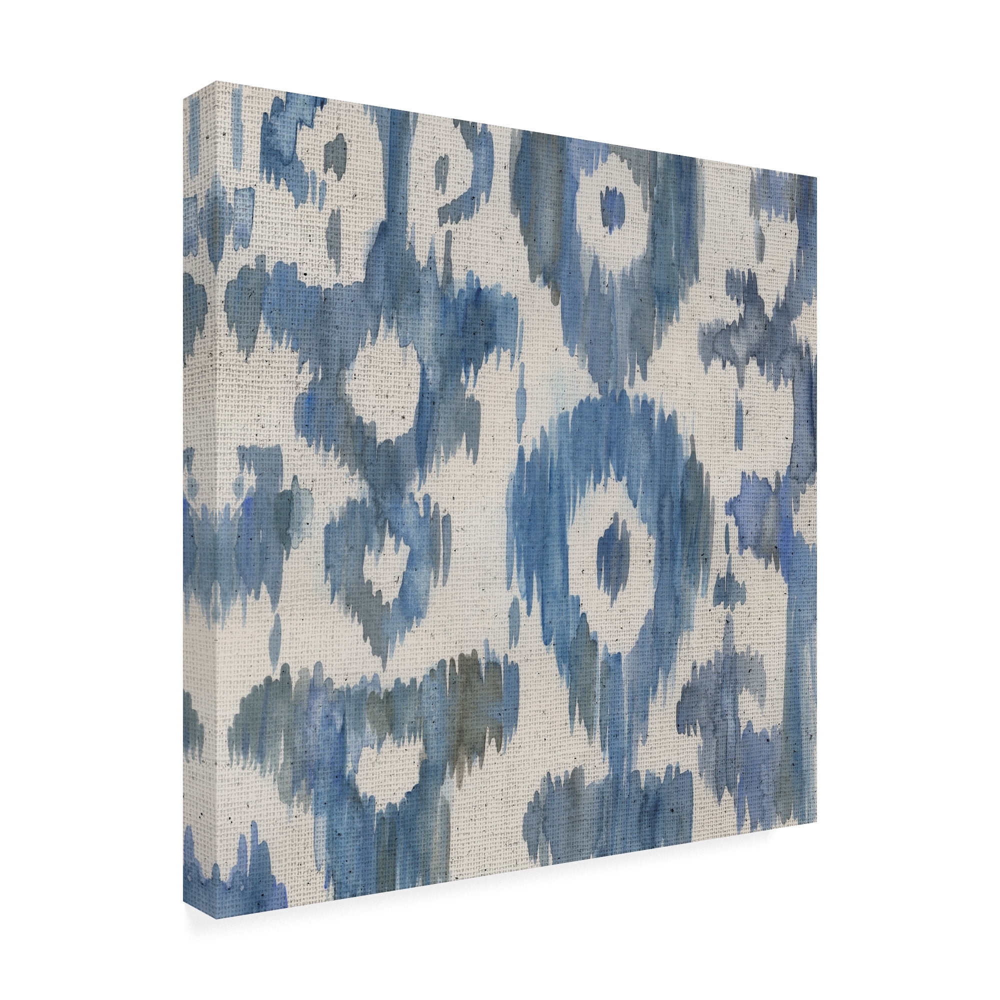 Trademark Fine Art 'Water Ikat II' Canvas Art by Chariklia Zarris