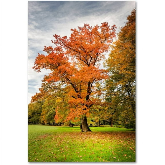 Trademark Fine Art "Burning Desire" Canvas Art by Philippe Sainte-Laudy