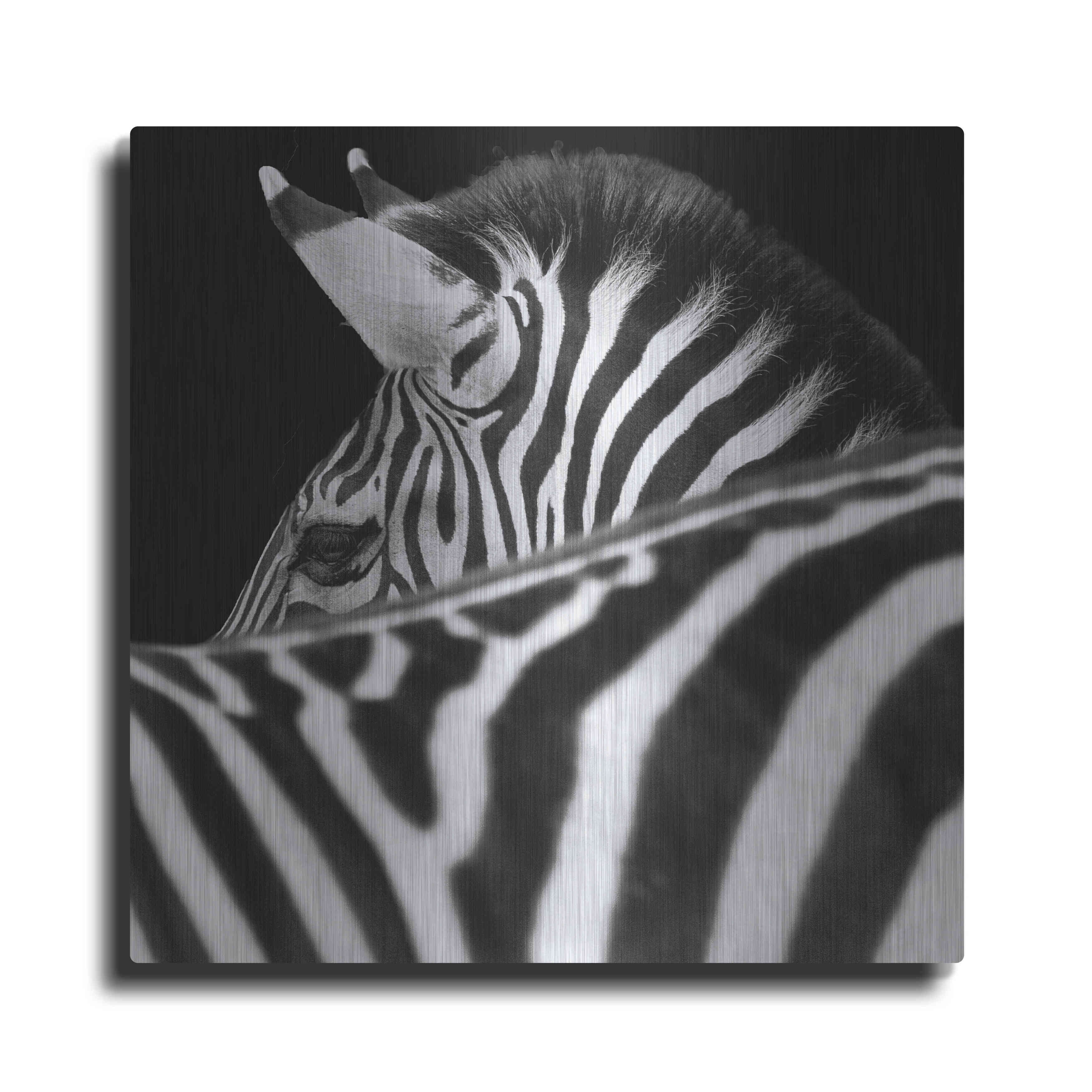 Luxe Metal Art 'Zebra III' by Debra Van Swearingen, Metal Wall Art, 12 ...