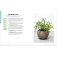 thumbnail image 3 of Succulent Obsession: A Complete Guide, (Hardcover), 3 of 10