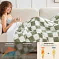 thumbnail image 3 of PMONPA Electric Heated Blanket for Adult, 51"x61" Soft Flannel Heating Blanket with 10 Heating Levels & 8 Hours Auto Off，Sage Green, 3 of 7
