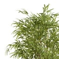 thumbnail image 5 of DecMode 80" Artificial Bamboo Tree in Realistic Leaves and White Fiberglass Pot, 5 of 13
