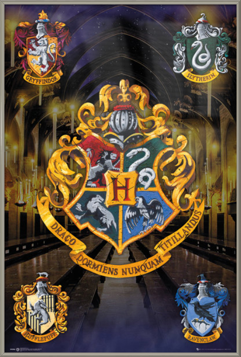 Gift Idea Various Sizes Harry Potter Slytherin Colours House Movie Print