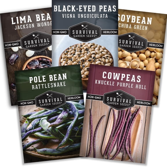 Hot Weather Bean Seeds 5 Pack - Heirloom Full Sun Annual Vegetable