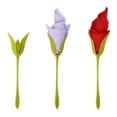 thumbnail image 4 of Servilleteros para Mesa, Juego de 4 Servilleteros Verdes Más Servilletas Blancas para Hacer Originales Arreglos de Mesa, 4 of 5
