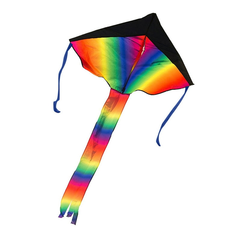 SDJMa Rainbow Delta Kite, Kites for Kids Adults Easy to Fly, Long Tail Huge  Flyer, Great Outdoor Activities Beach Games for Kids, with 164 FT Line 