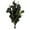 Green, variant on Vickerman Natural Botanicals 18-20" x 8" Eucalyptus Populus Red, 100 grams per unit