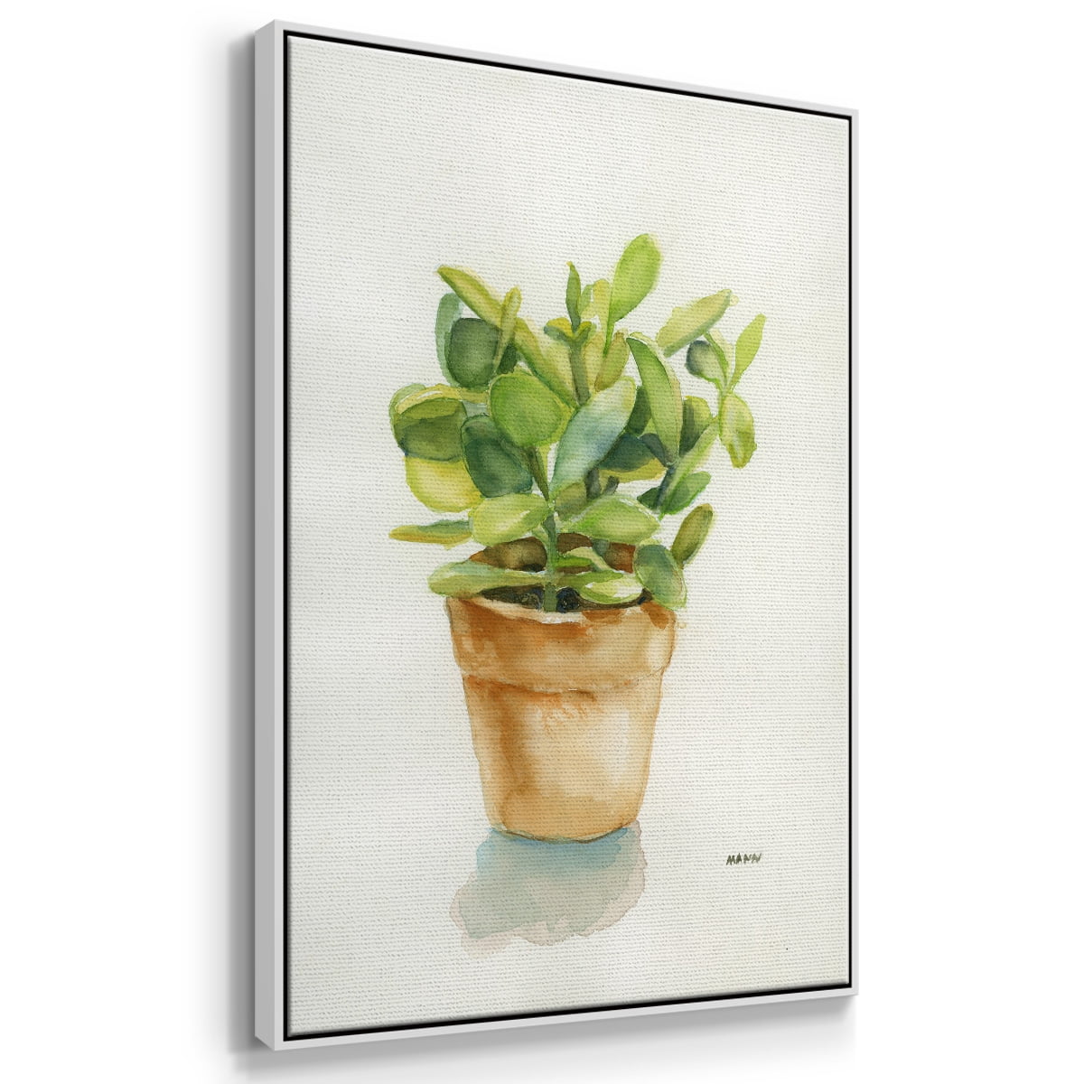 Succulent I Framed Premium Gallery Wrapped Canvas - Ready to Hang - 17 x 25 - White Floating Frame