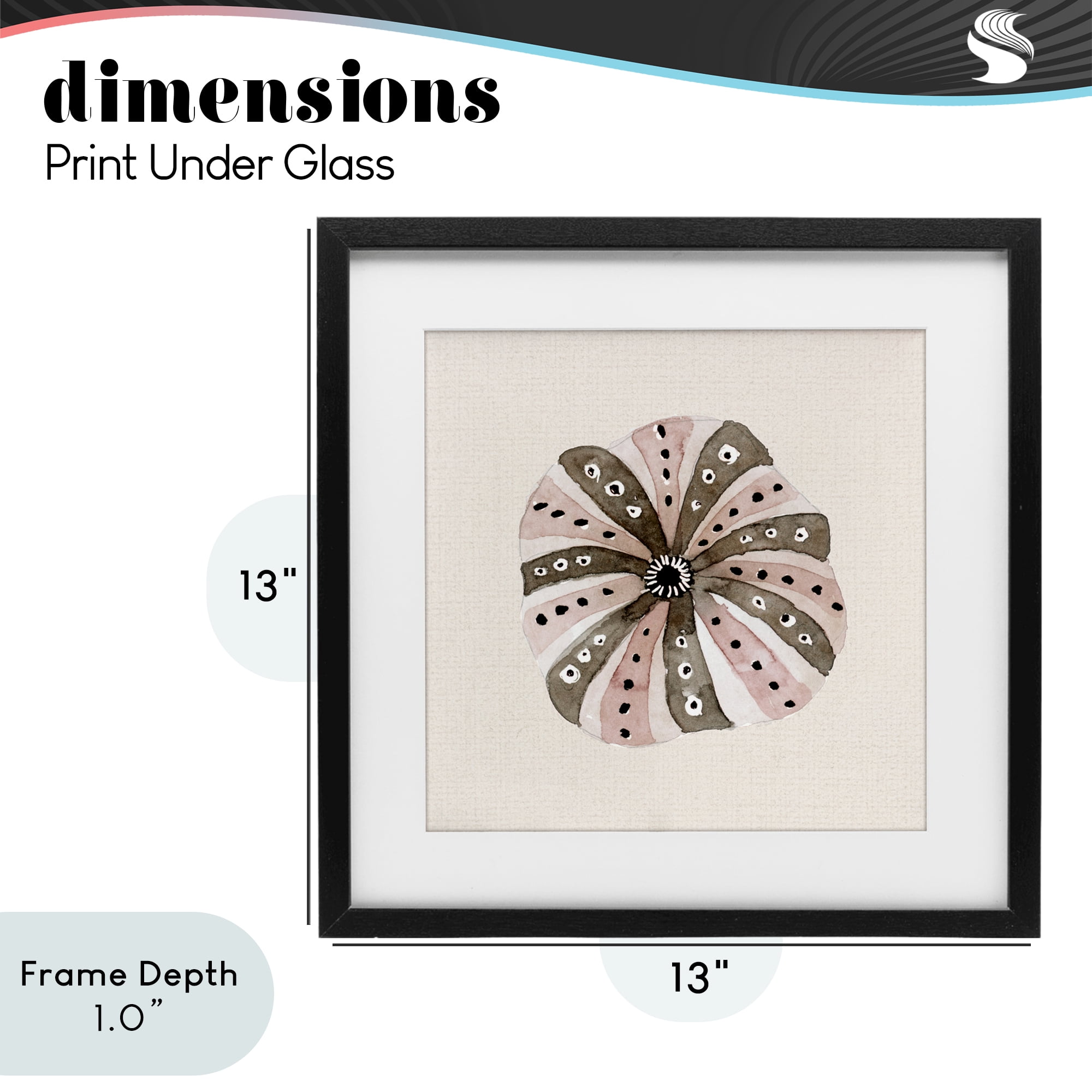 Stupell Industries Taupe Striped Sea Urchin Black Framed Print Under Glass, design by Lanie Loreth