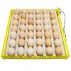 42Eggs 7Rods