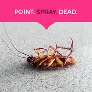 Hot Shot Ant, Roach & Spider Killer 2-17.5 Ounce, Kills Roaches, Unscented, Twin Pack