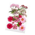 thumbnail image 3 of Flores prensadas secas Strade Fareast Limited paquete de flores artesanales, 3 of 8