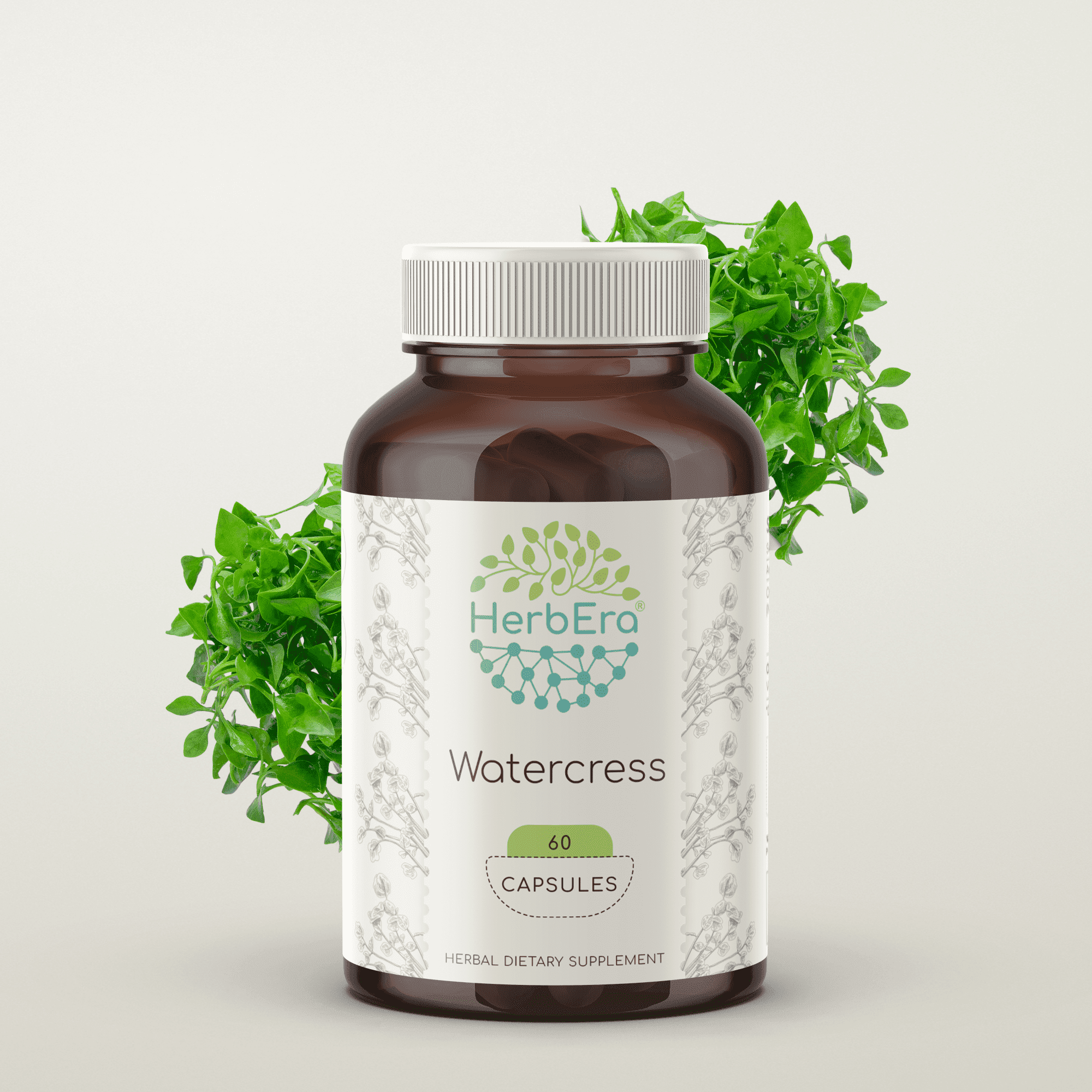HerbEra Watercress Capsules, Herbal Dietary Supplement for Antioxidant Support, Watercress (Nasturtium Officinale) Dried Herb Capsules, Natural, 60 Capsules