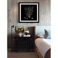 thumbnail image 5 of "Black & Tan Coral I" Framed Painting Print, 5 of 6
