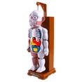 thumbnail image 2 of Modelo de cuerpo humano que favorece rompecabezas de órgano de , juguetes de fiesta, juego de trucos para niños y adultos, 2 of 7