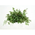 thumbnail image 1 of 7 in. Maple Ivory Greenery Brown Saucer Plant - Pack of 2, 1 of 1