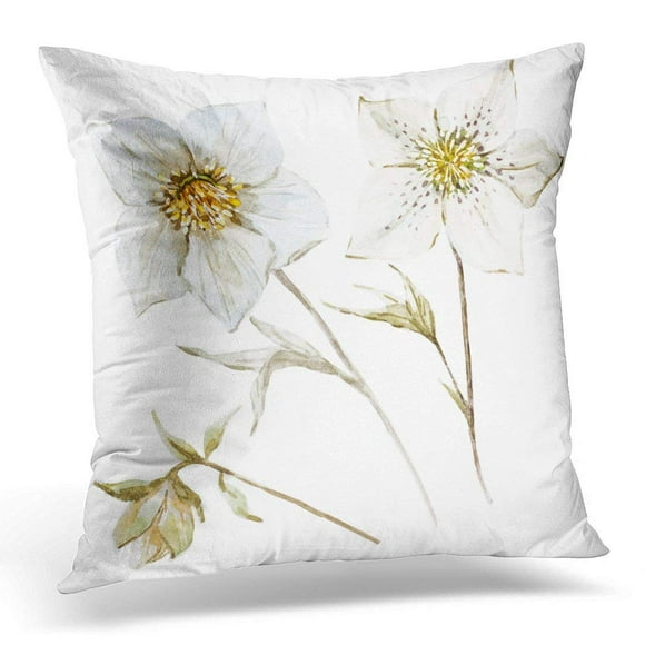 BSDHOME Red Winter Object Watercolor Flower Hellebore White Beautiful Green Beauty Pillow Case Pillow Cover 20x20 inch
