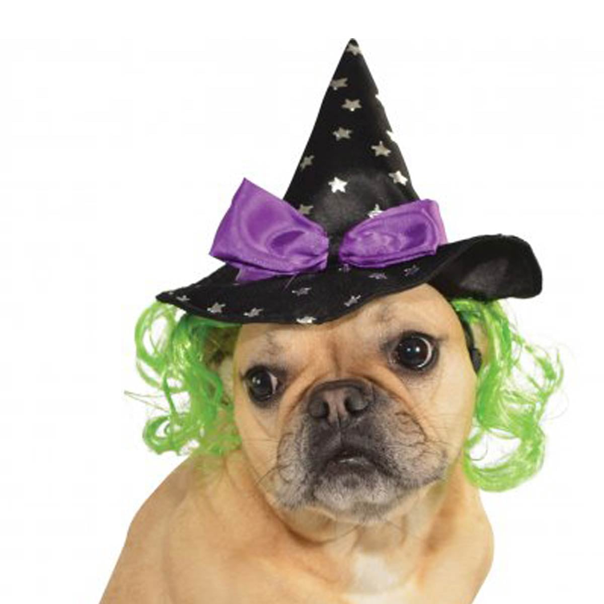 Star Witch Dog Hat Small/Medium