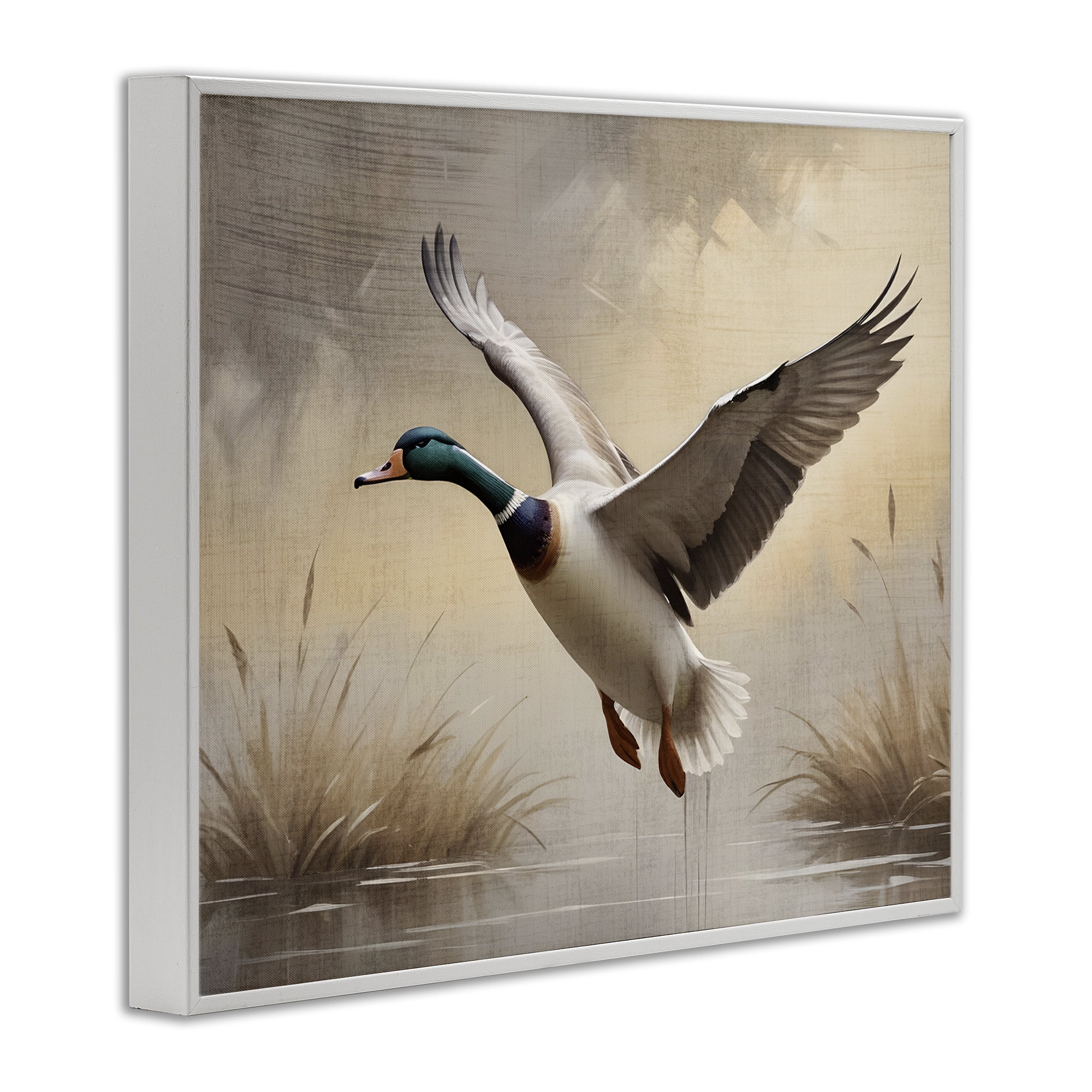 Stupell Industries Gliding Mallard over Wetlands White Framed Giclee Art, design by Susan Arnot