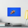 thumbnail image 4 of Clown Fish Hunting Clown Fish on Hunt Print Animal Wall Art Wildlife Canvas Prints Wall Art Ready to Hang Unframed, 4 of 18
