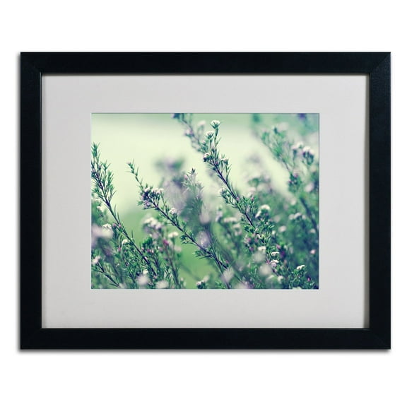Trademark Fine Art "Memories of Summer" Framed Canvas Art by Beata Czyzowska Young