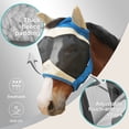 thumbnail image 3 of Harrison Howard Horse Fly Mask Standard with Ears Champagne Gold/Teal (L; Full Size), 3 of 6
