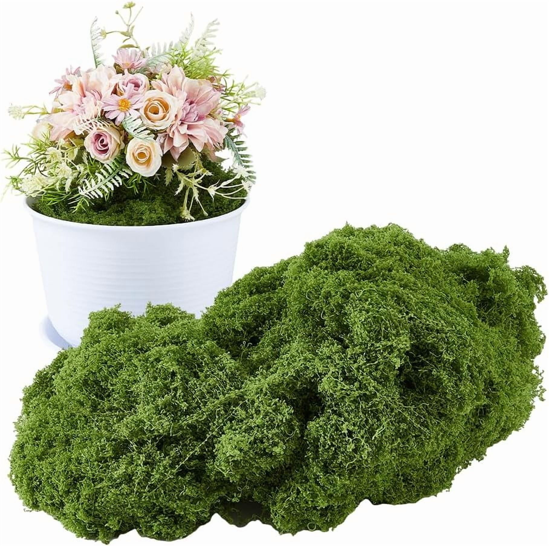 5mmx500g Artificial Moss 17.6oz Green Moss Grass Decor