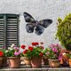 thumbnail image 5 of Colgante de pared BLESIY Estatua para colgar en la pared Decoración de pared Escultura de jardín Mariposa, 5 of 8