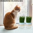 thumbnail image 3 of UPOUART Sky- Cat Planter with Catnip and Cat Grass Box - Indoor Pet Set, 3 of 8