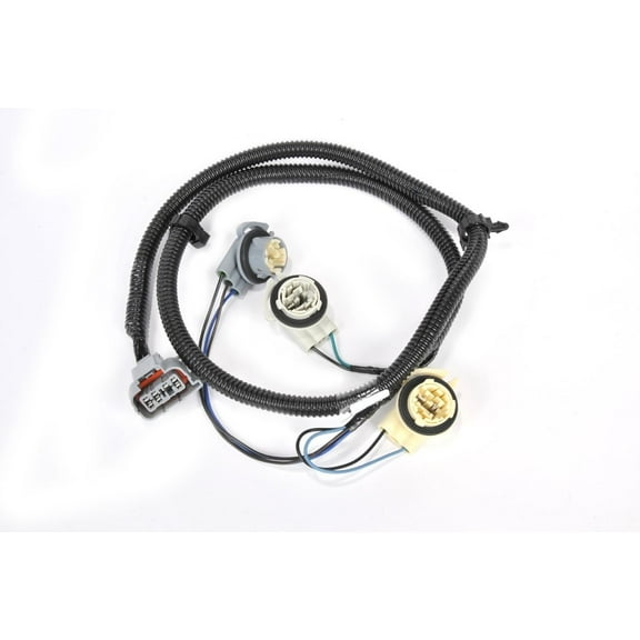 Driver Side Tai (P1)