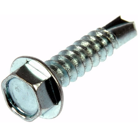 

Self Tapping Screw Stainless Steel Oval