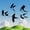 Black, variant on ESTART 5 Pcs Colorful Metal Birds Wall Art, Hanging Home Wall Decor for Indoor Outdoor Garden Patio  Living Room