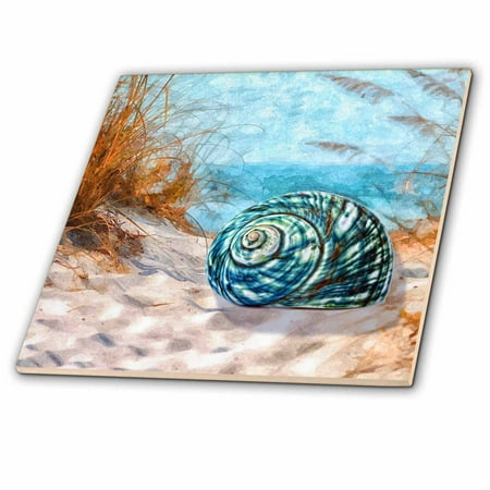 3dRose Blue seashell on the beach in an ocean cove with summer grasses. - Ceramic Tile,