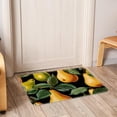 thumbnail image 6 of Pear Kitchen Mat Outdoor Carpet Indoor Mat - Polyester Non-Slip Machine Washable, 6 of 6