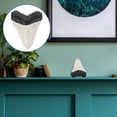 thumbnail image 2 of HOMEMAXS Giant Shark Tooth Decor 1 Set Shark Teeth Fake Model Craft Decoration Simulated Shark Teeth Decorative Craft, 2 of 9