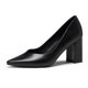 thumbnail image 1 of Dream Pairs Las mujeres de alta Chunky cerrado del dedo del pie Tacones puntiagudos del partido de la boda elegante deslizamiento en los zapatos de las bombas SDPU2229W Dream Pairs SDPU2229W, 1 of 4