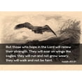 thumbnail image 3 of ArtsyQuotes 14x11 Black Modern Framed Museum Art Print Titled - Bible Verse Quote Isaiah 40:31, Karl Bodmer - Eagle Flying, 3 of 5