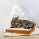 thumbnail image 2 of Indoor cat bed, cat and small dog pet cushion creative toast bread slice mattress (sponge core), 2 of 4