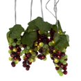 thumbnail image 1 of Ensemble de Lumières LED Raisin 100 Lumières Vert & Bourgogne avec 5 Grappes, 1 of 1
