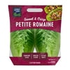 Fresh Produce, Petite Romaine Lettuce, 2 Count Bag