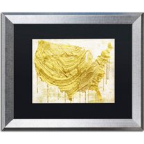 Trademark Fine Art "American Dream III" Canvas Art by Color Bakery, Black Matte, Silver Frame