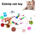 thumbnail image 4 of 16pcs Retractable Cat Wand Toy Set Colorful Cat Teaser with Feather Head Replacement & Bell Cat Stick Supply for Kitten, 4 of 6