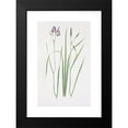 thumbnail image 2 of William Rickatson Dykes 16x24 Black Modern Framed Museum Art Print Titled - Iris Prismatic (1913), 2 of 5