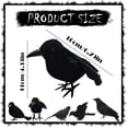 thumbnail image 3 of BNNG Halloween Black Feathered Crows, Realistic Feathered Black Birds Raven, Halloween Decoration for Indoor Outdoor Home Yard Garden Party Decor, 3 of 9