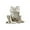A, variant on Halloween Creepy Animal Skeletons — Bone Details with Haunted Shadows, Halloween Decorations for Halloween Parties & Trick or Treat Nights — great for Costume Parties with Halloween party decorations